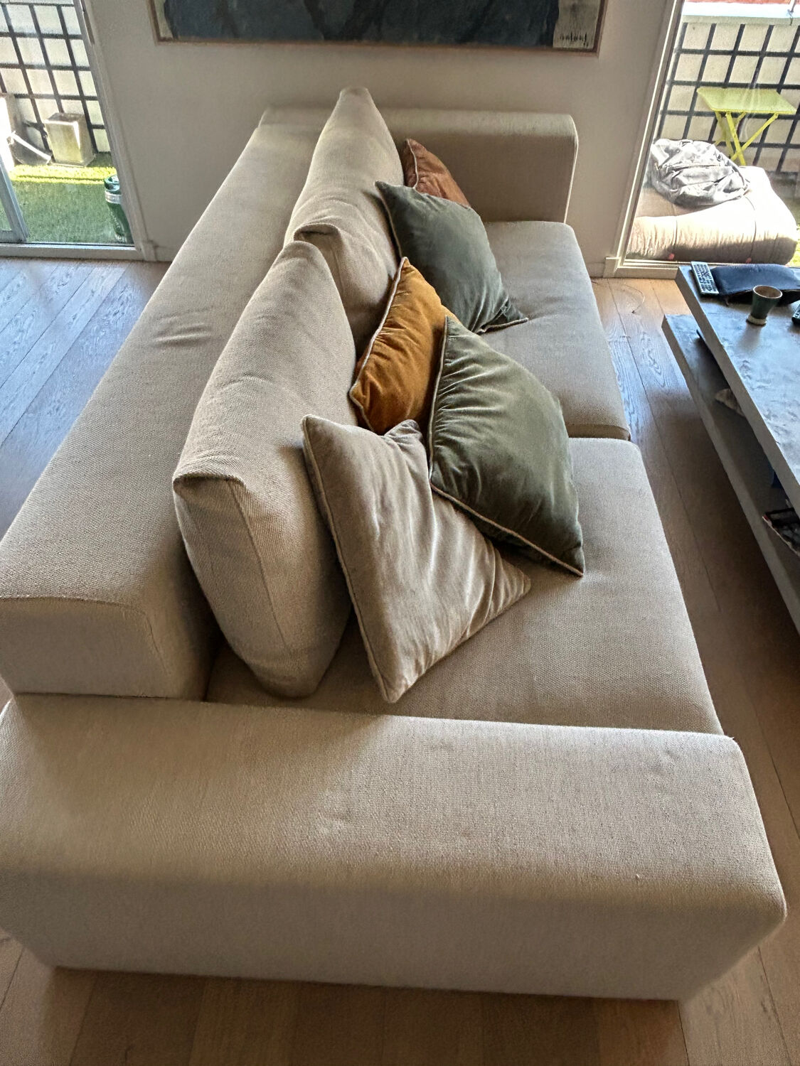Ligne Roset sofa