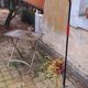 Lampadaire, liseuse vintage année 60 fer forgé