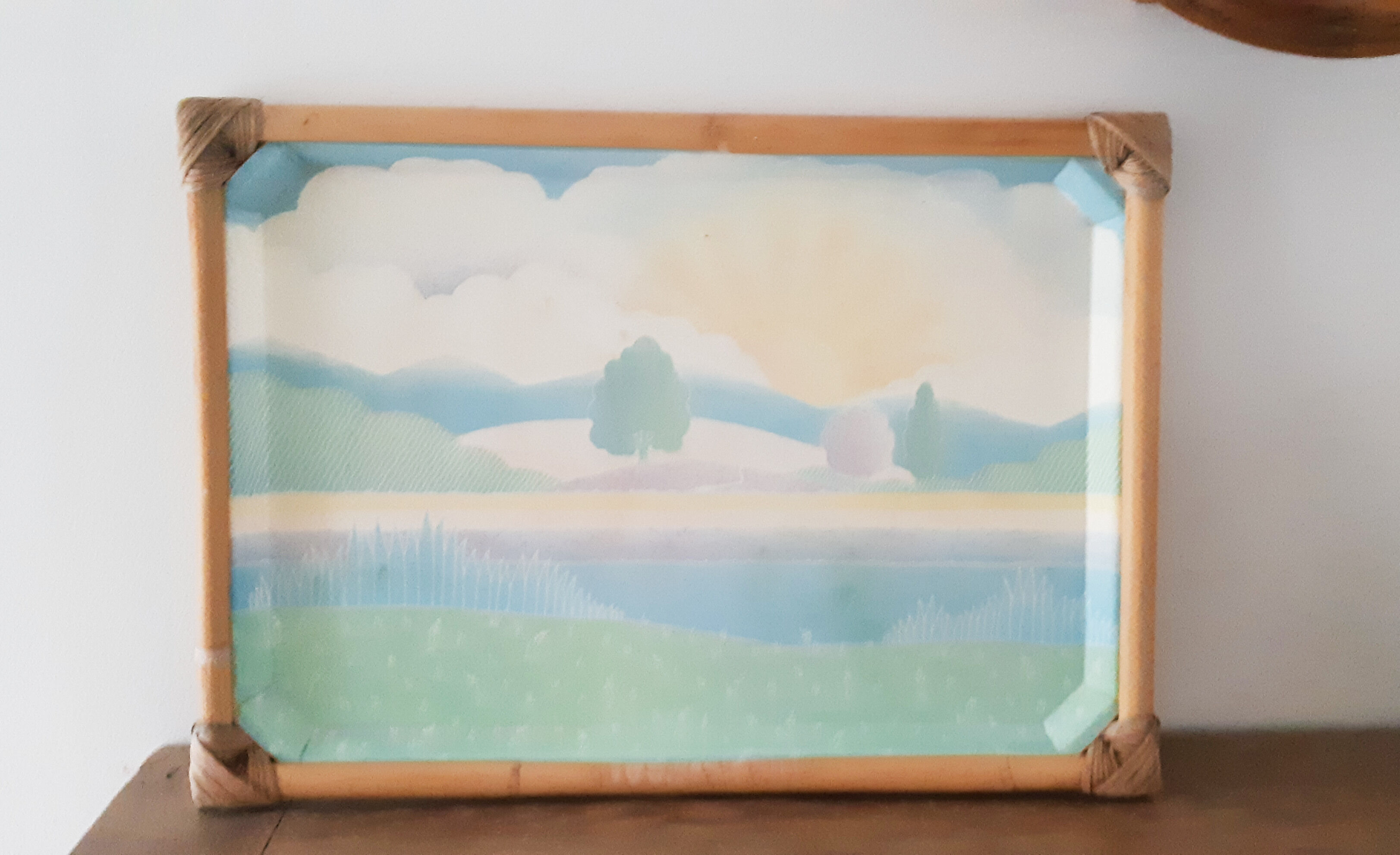 Fiberglass and rattan top