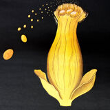 Affiche murale de l’école de Jung-Koch-Quentell "parasite du grain" 1972