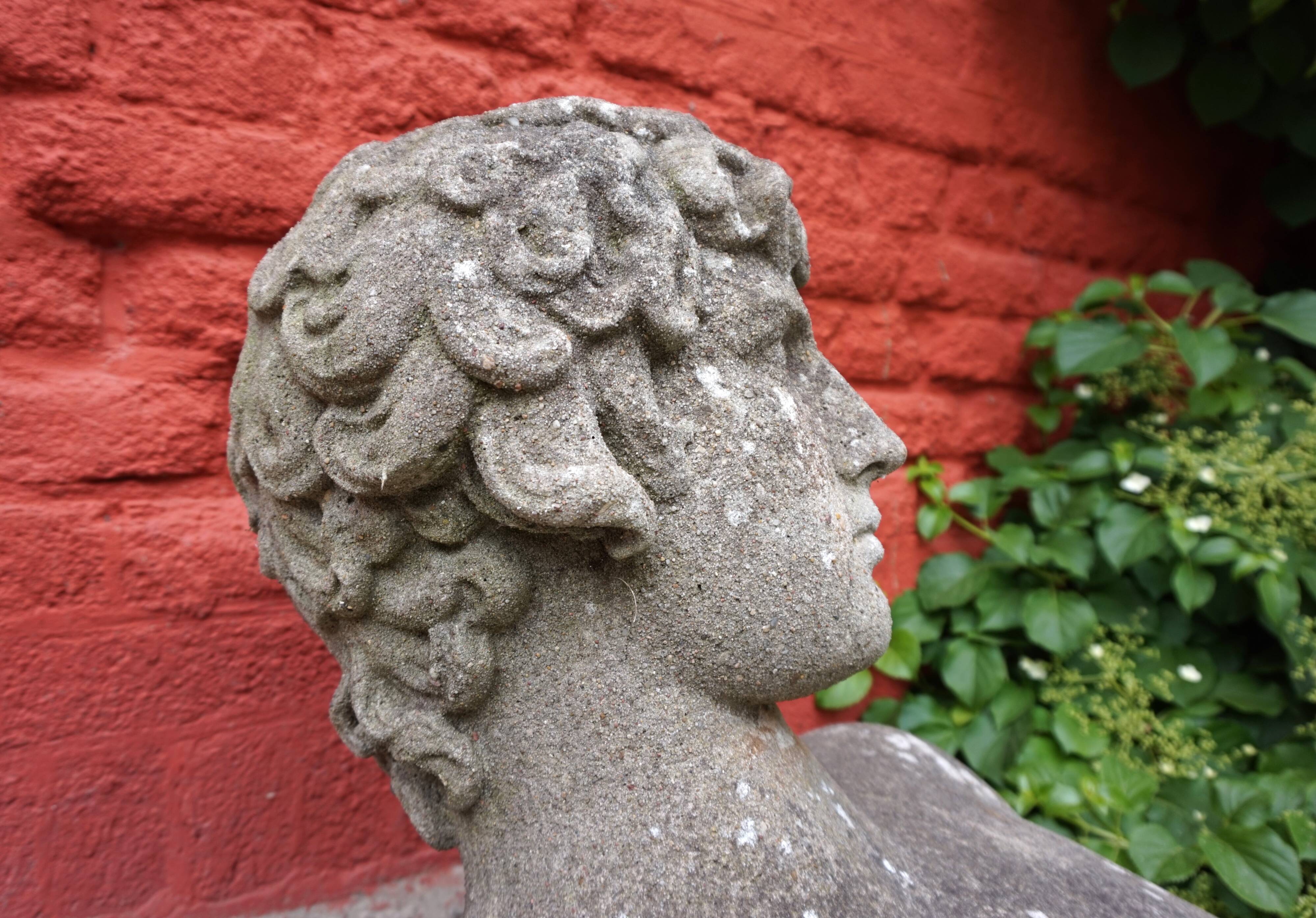 Weathered garden sculpture David concrete bust