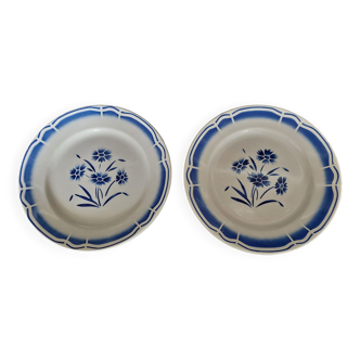 Pair of earthenware plates Badonviller early twentieth century