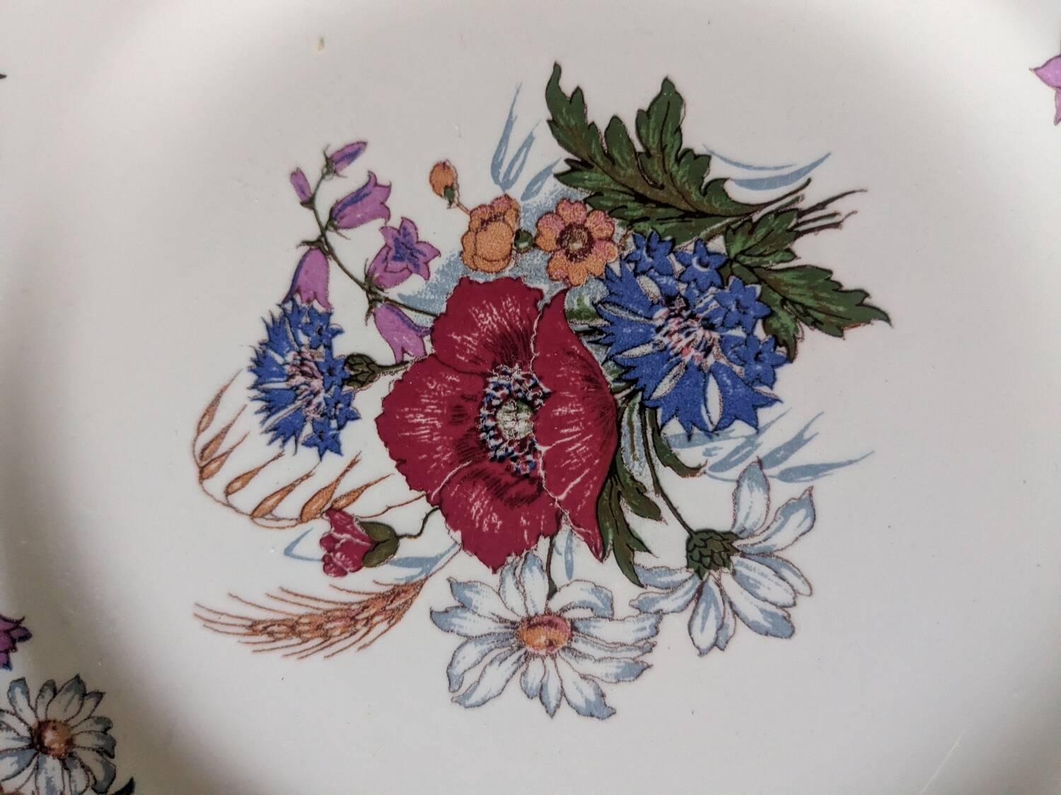 Two Sarreguemines Agreste dinner plates