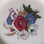 Deux assiettes plates Sarreguemines Agreste