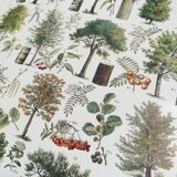 Lithograph on trees from 1928 "poplar"