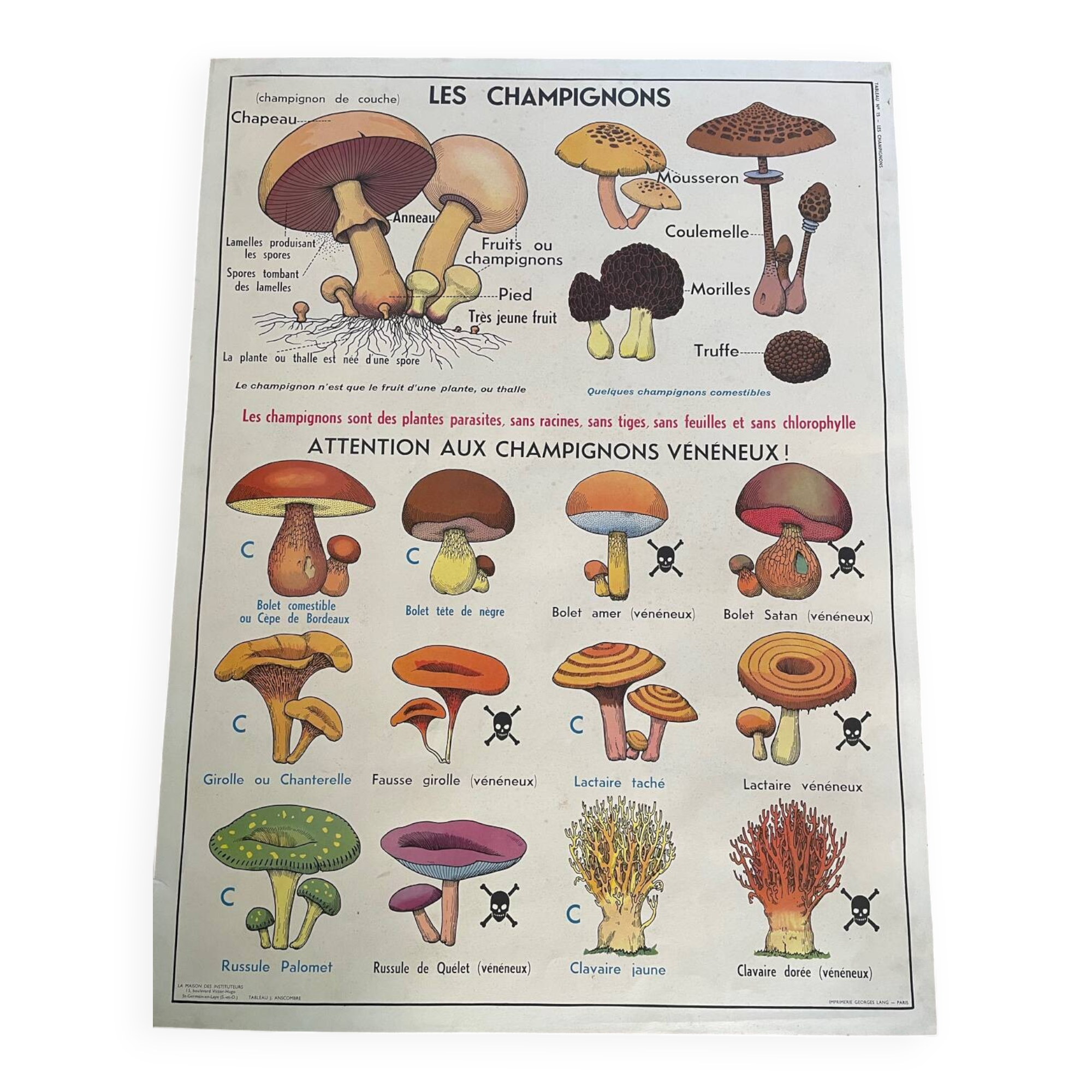 Old educational school poster, school