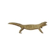 Big Stuffed Spiny-Tailed Dragon Lizard Taxidermy Africa Middle East Agamidae