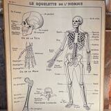 Old school map Anatomy