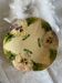 Dessert plate in majolica from Choisy le Roi