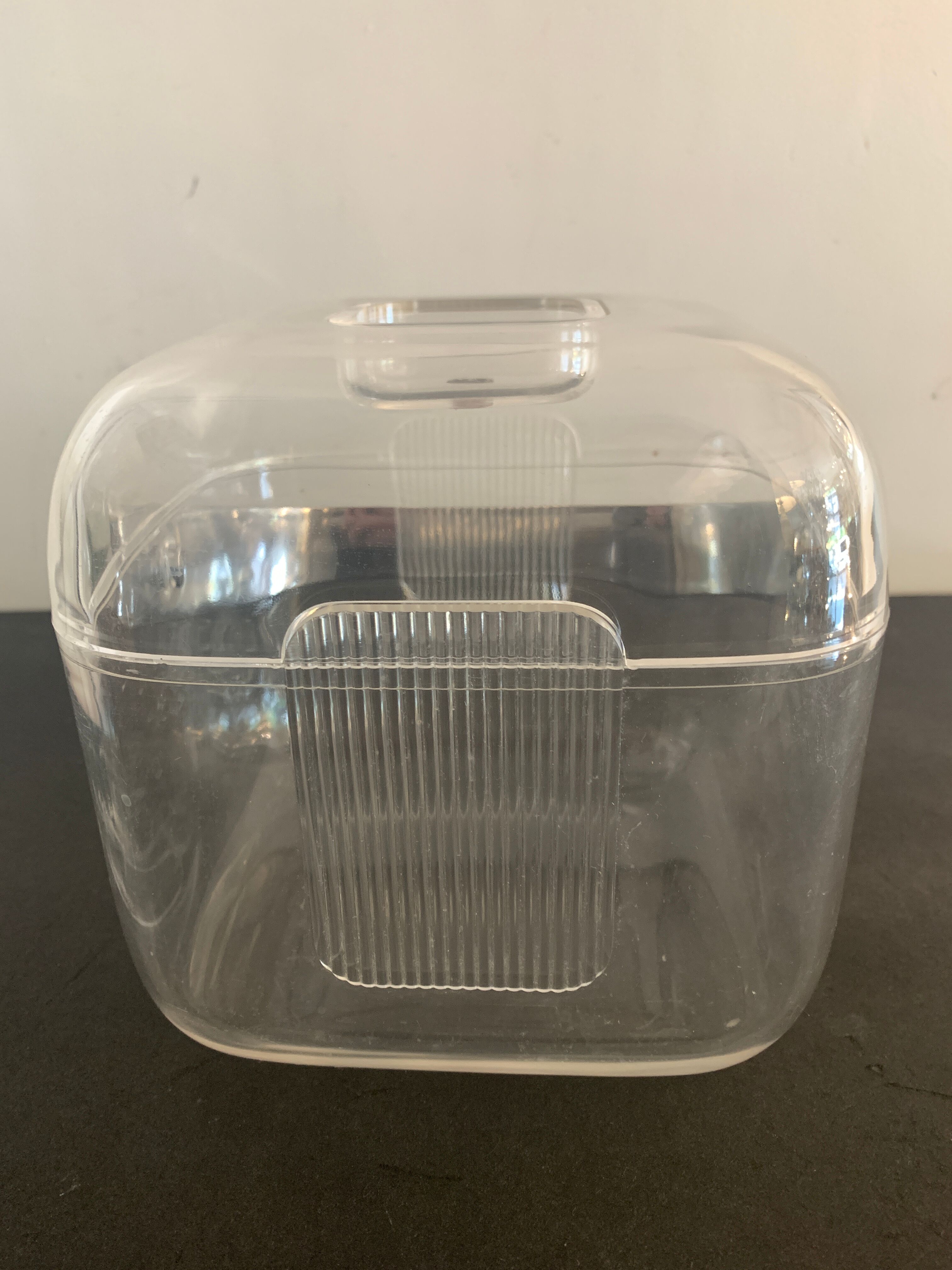 Transparent ice bucket and pitcher, Italian design Guzzini, 1970
