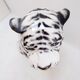 White ceramic tiger - Ceramiche Boxer, Italy