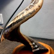 Lampe de salon brutaliste corne de Belier 1970