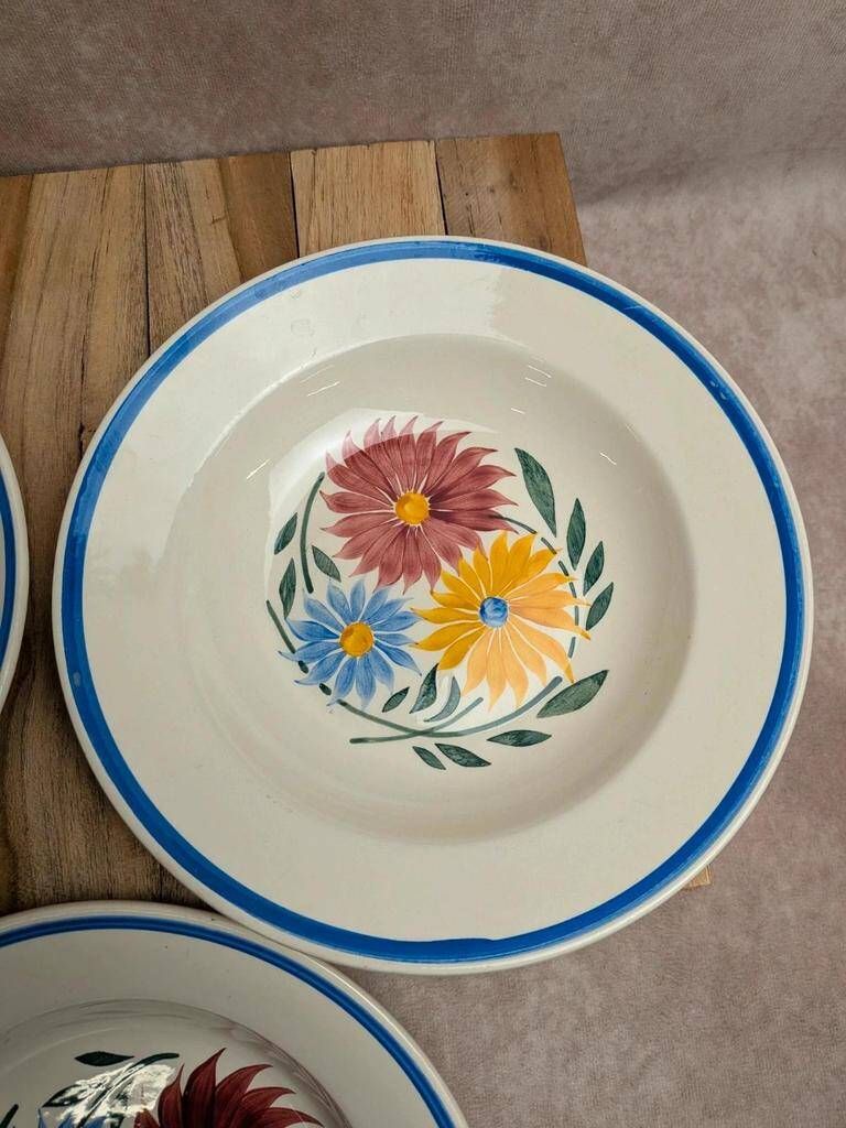 Set of 6 ironstone plates HBC – Rustic Model – Hand-painted floral design