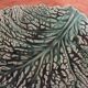 Duo dish dish in Sarreguemines cabbage leaf slip