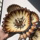 Paul Fouillen shell pocket emptier