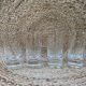 Ensemble de 4 verres tumbler en cristal, Moser