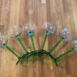 Set of 6 Engraved Glasses with Green Legs