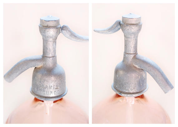 Siphon glass rose
