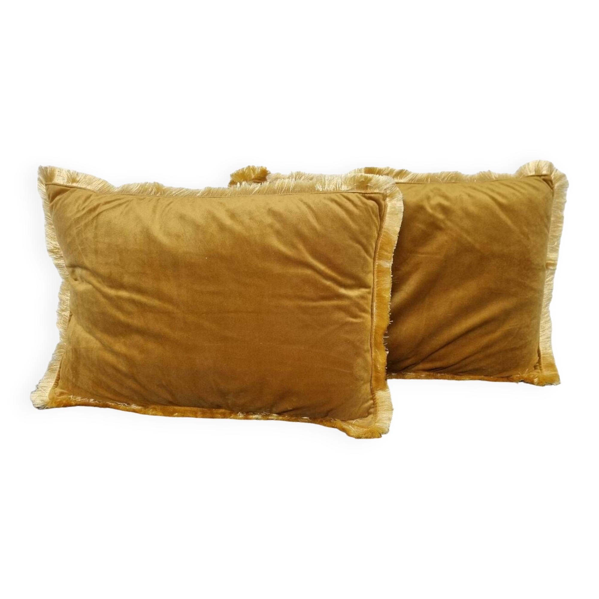 Pair of velvet cushions