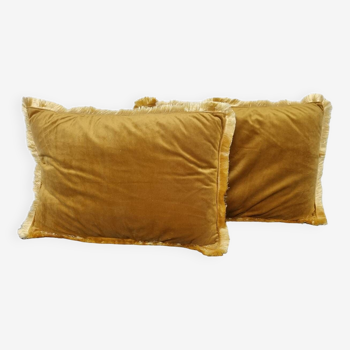 Pair of velvet cushions