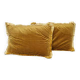 Pair of velvet cushions