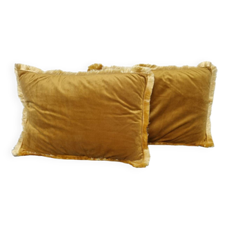 Pair of velvet cushions