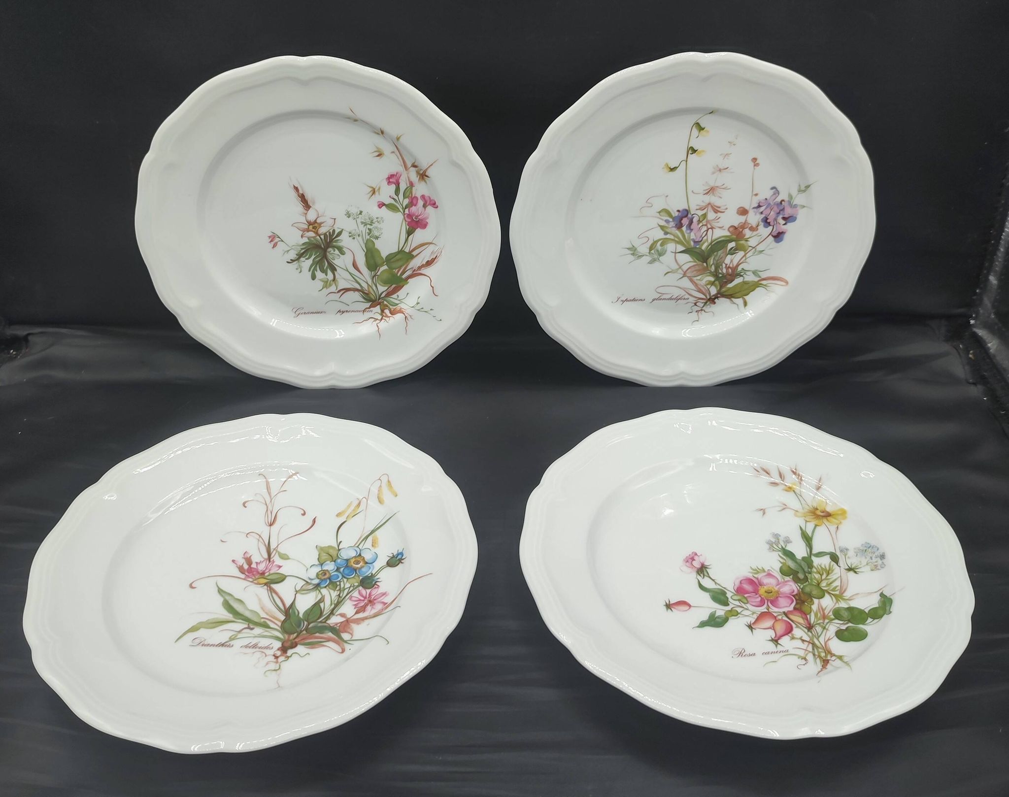 Set of 4 dessert plates Seltmann Weiden Bavaria Collection Marie-Luise