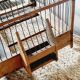 Cage à oiseaux en bois, XIXème s.