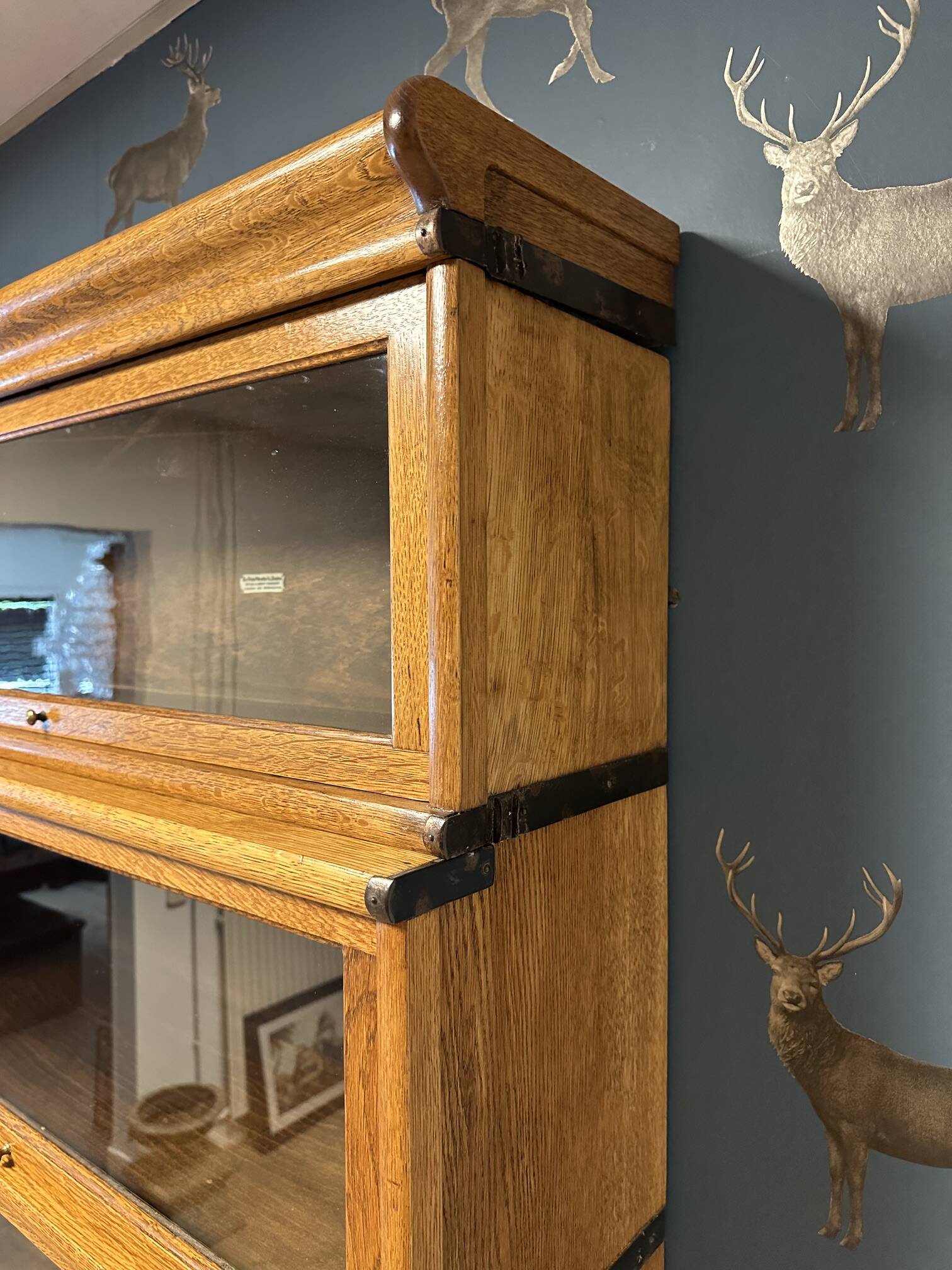 Large Glob Wernicke Bookcase