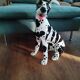 Italian ceramic dog 1960s