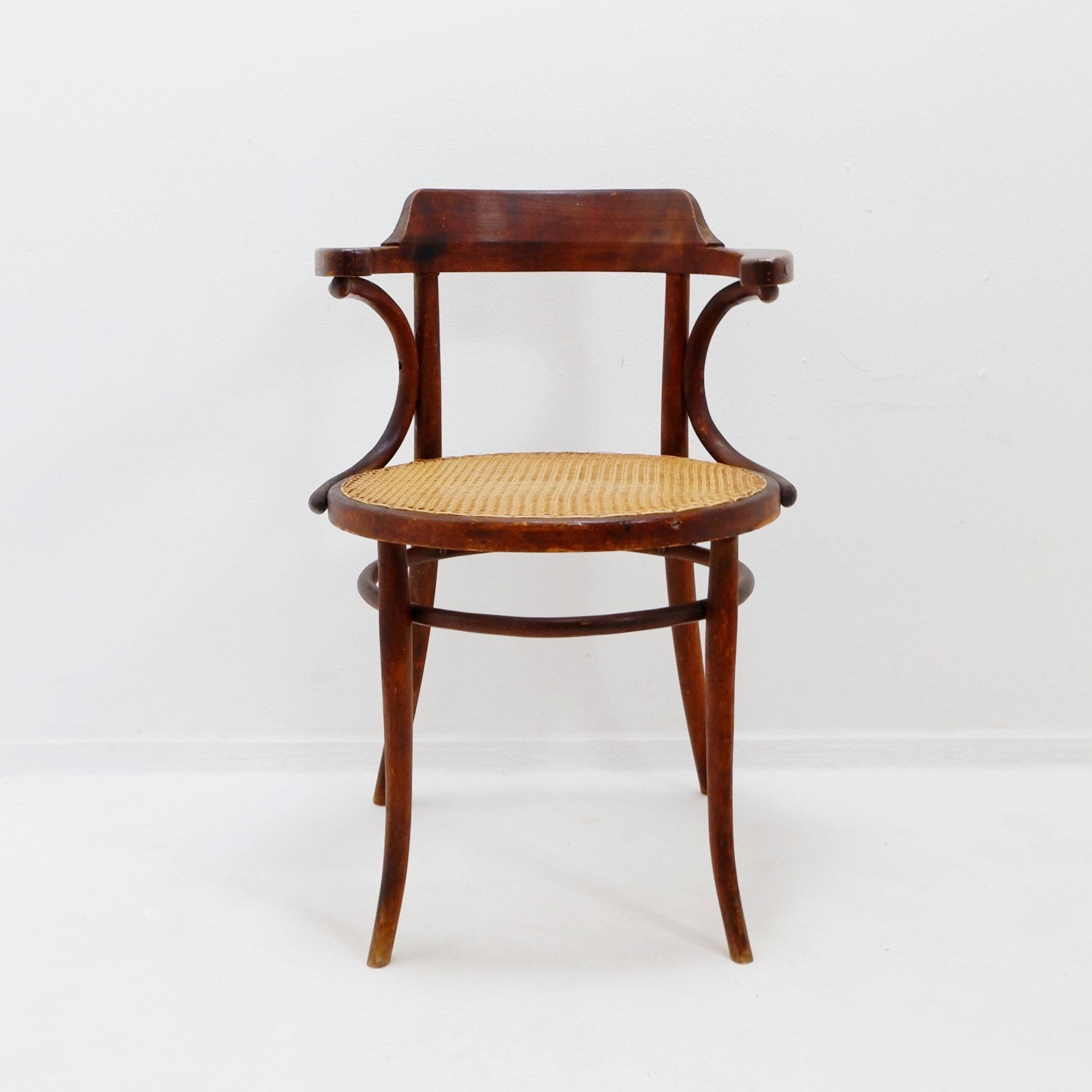 Thonet-style bentwood chair or armchair - 1950s