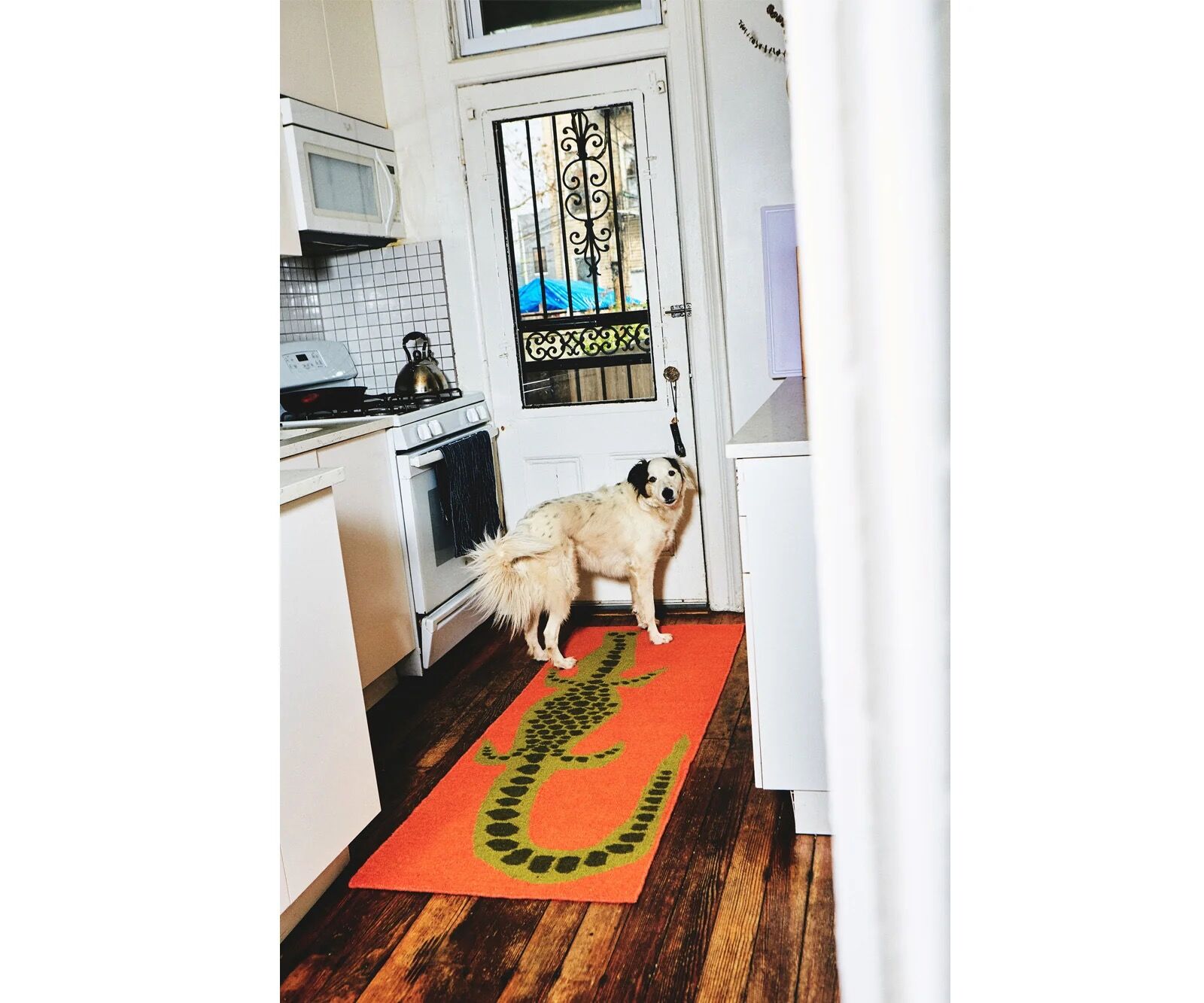 Tapis crocodile runner