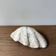 Vintage clam shell