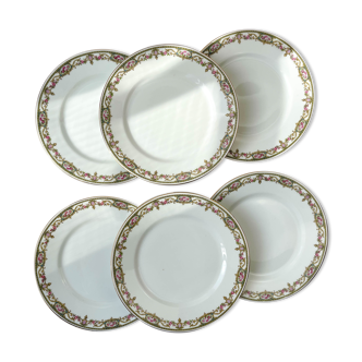6 assiettes plates porcelaine limoges b&c motif fleuris