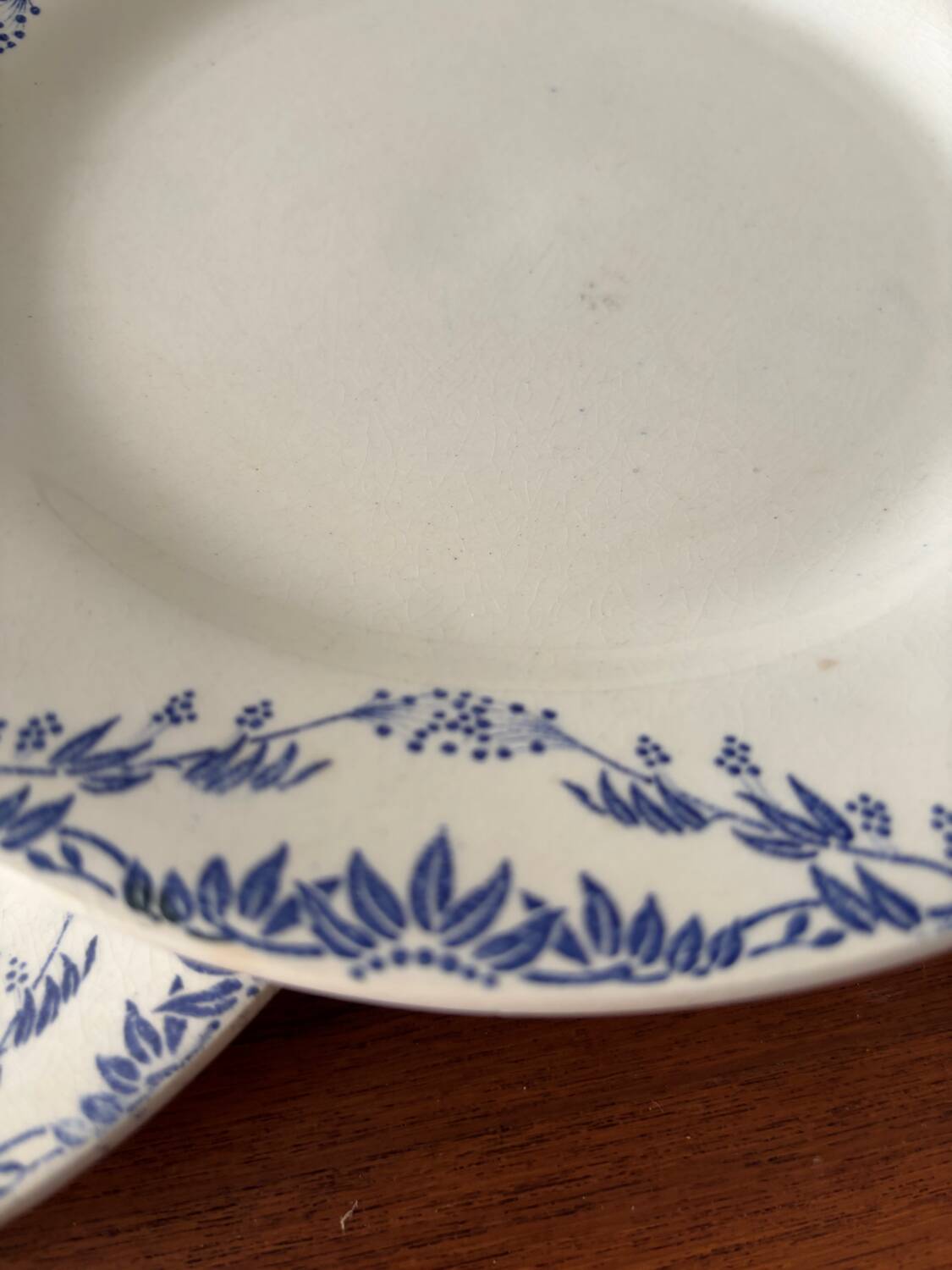 Set of 6 Creil and Montereau Labrador dinner plates – Mir model