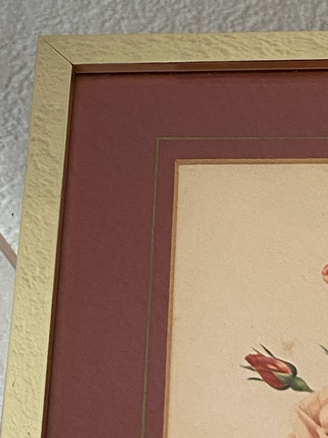 Botanical poster, P-J Redouté, brass frame