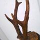 Crane deer taxidermy