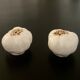 1 salt shaker and 1 pepper white garlic shape