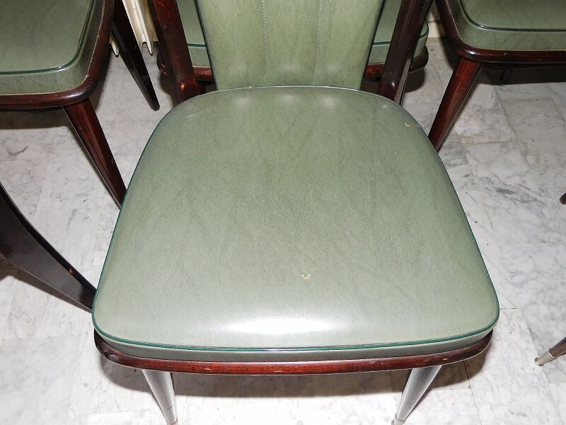 Serie de 6 chaises 1960 en macassar et skyl