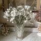 Rostrato Vase in Murano Glass, 1960s