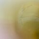 Kjell Engman for Kosta Boda Sweden Fidji bowl