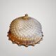 Vintage Sciolari Ceiling Light Ø32cm