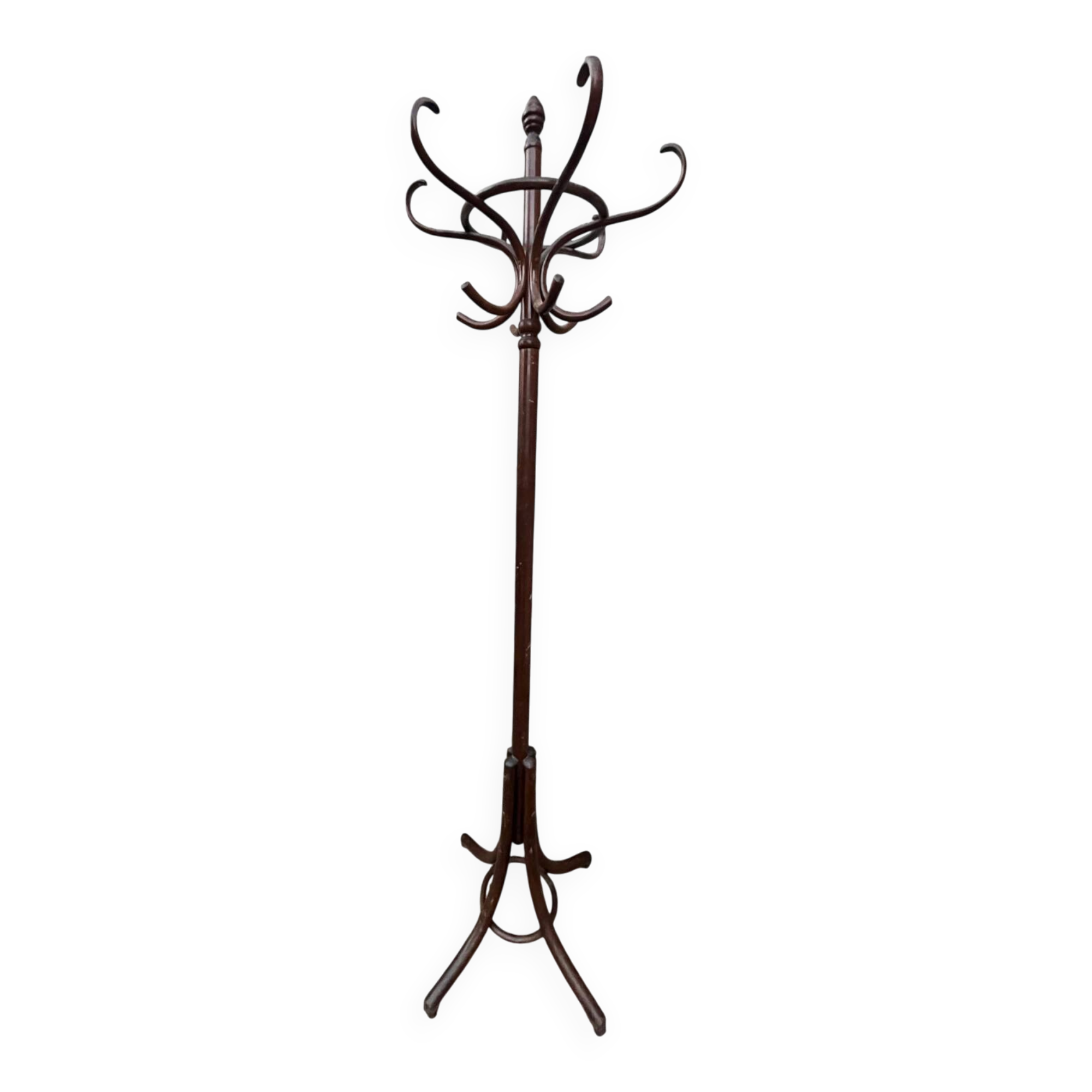 Coat rack parrot