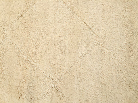 Berber carpet Beni Ouarain beige with dug patterns - 320x205cm