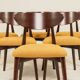 Scandinavian design mustard boucle dining chairs