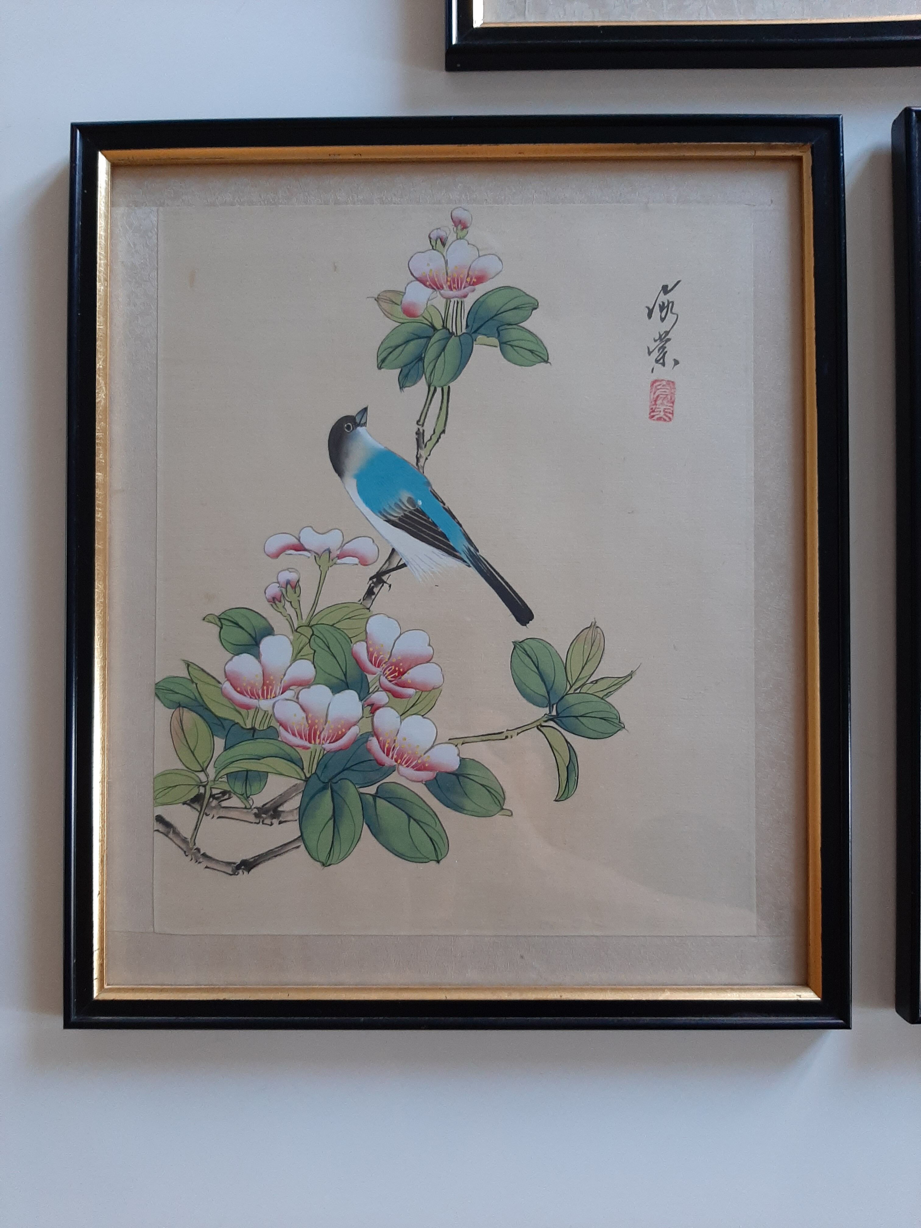 Lot 3 estampes oiseaux