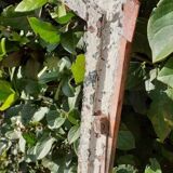 Window L156.2xH119 industrial curved metal glass roof frame