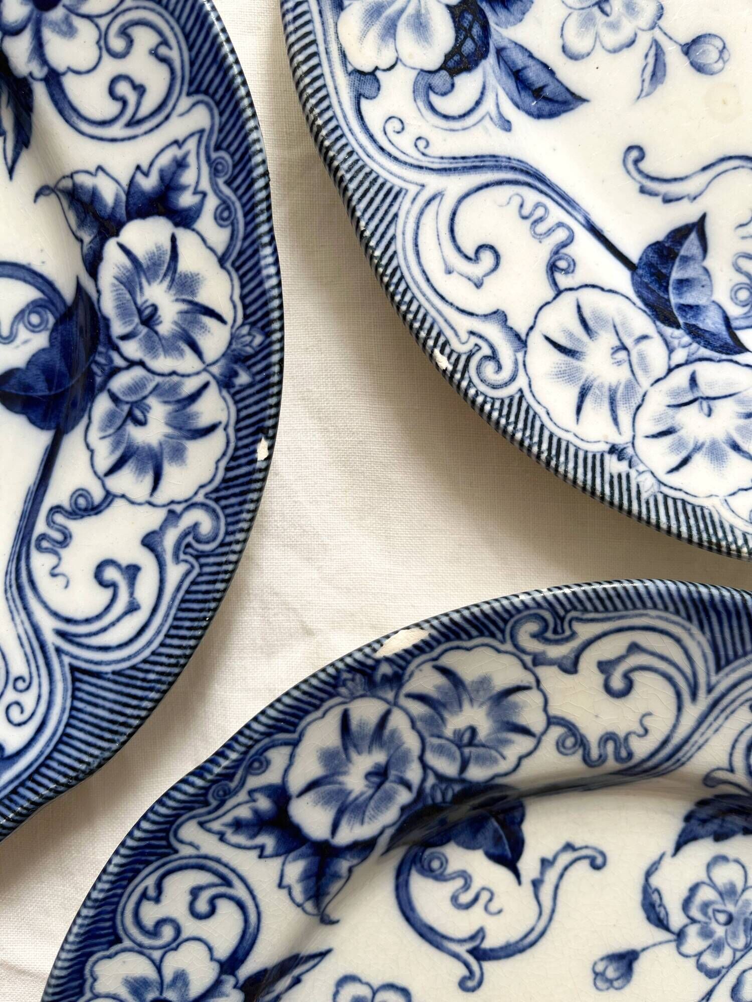 6 dessert plates in iron earth Flora, Creil and Montereau late nineteenth