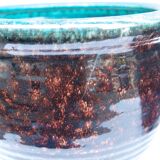 Pair of Accolay vintage ceramic pot cover