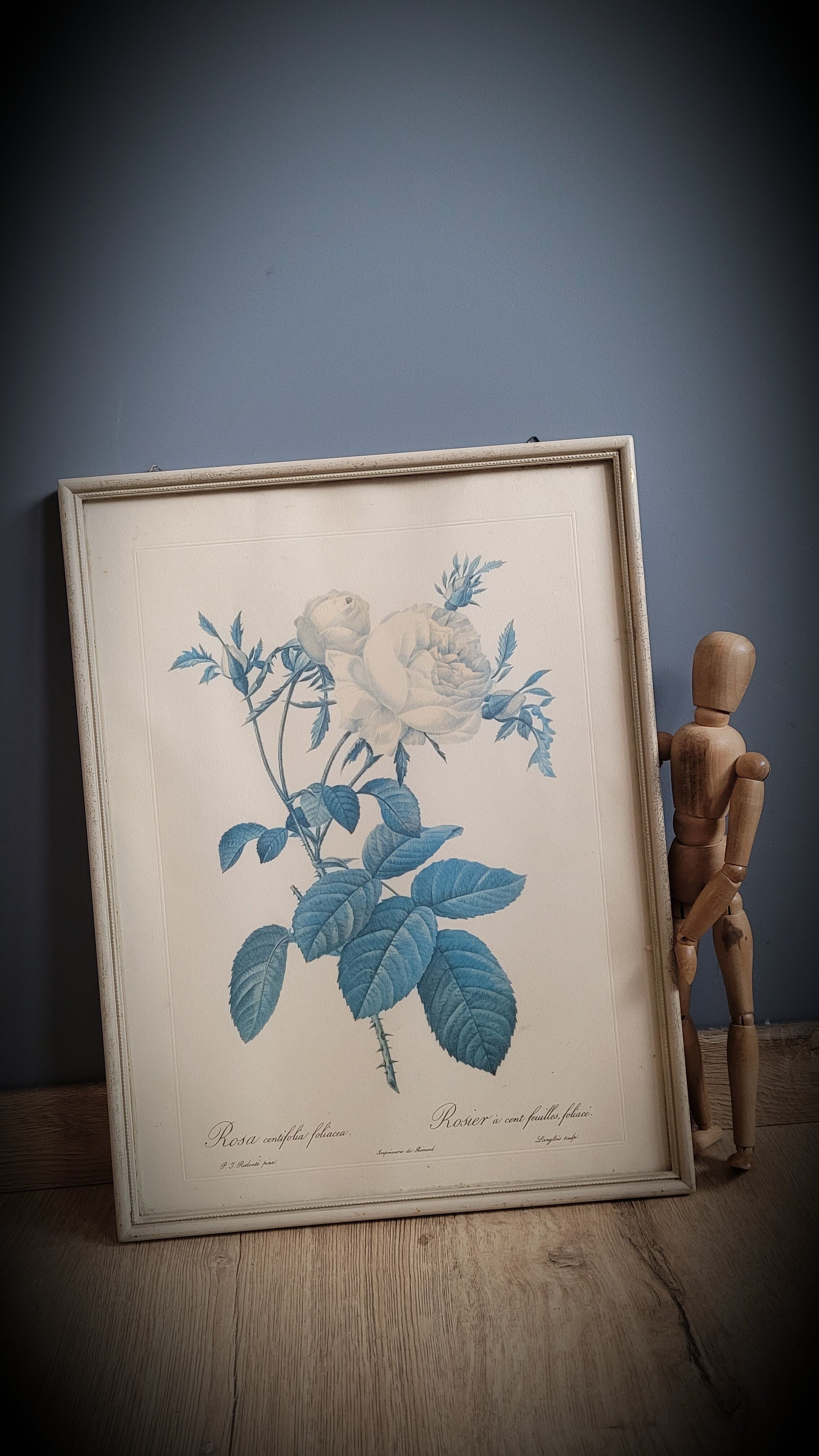 Frame illustration rose one hundred leaves foliaceous